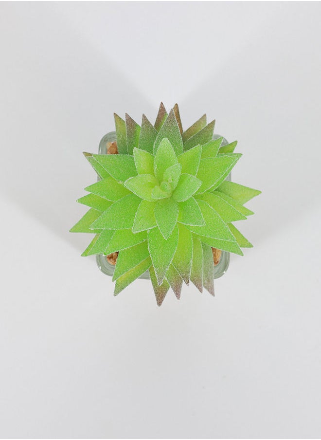 Rahalife Artificial Succulent Bonsai  - Image 2