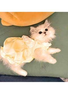 A.M Cute Pet Dress Anti Shedding Puppy Clothes Spring Autumn Small Cats Dogs Costume Indoor Outdoor Wear For Cats And Small Dogs  - Image 4