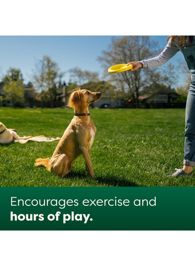 إيرث ريتد لعبة قرص طائر مُصممة خصيصًا للكلاب والجراء، ألعاب تفاعلية للكلاب، يطفو على الماء على شكل صحن، كبير، أصفر - Image 5