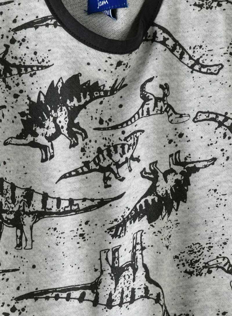 JAM Boys Grey Dino Sweatshirt