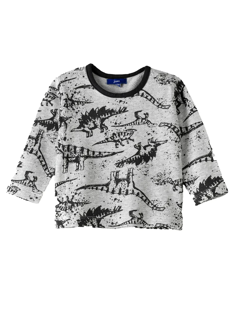 JAM Boys Grey Dino Sweatshirt