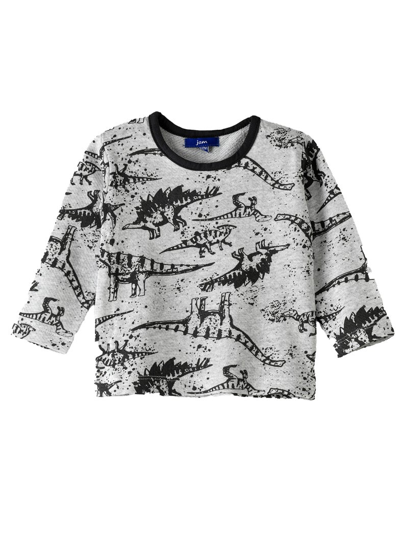 JAM Boys Grey Dino Sweatshirt  - Image 1