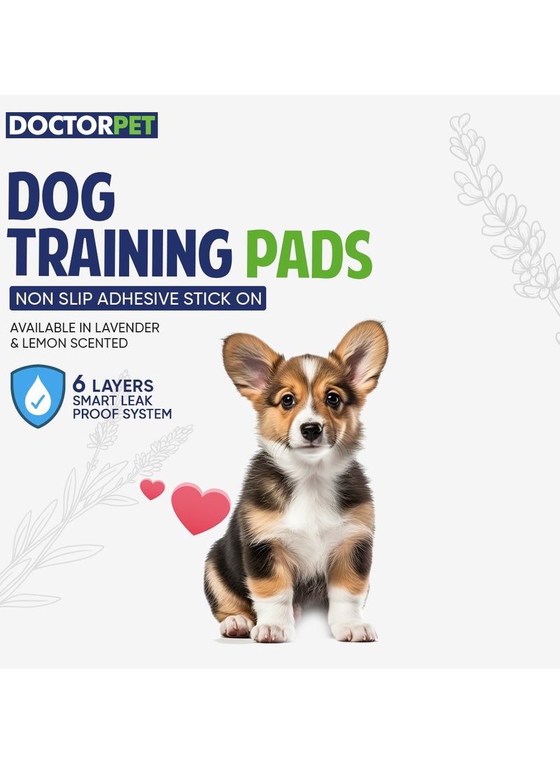 DOCTERPET Doctor Pet Training Pads Lavender 40's (60x60cm) – Large Rapid-Dry Leak-Proof Pads,Scented, 6 Layers Quilted, Superior Absorption, Odor Control, Pet Training for Dogs, Cats, Rabbits - Image 4