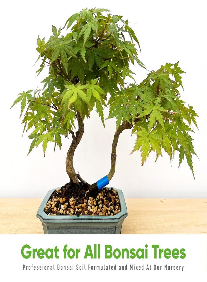 Bonsai Outlet مزيج تربة بونساي من تايني روتس - مزيج تربة بونساي متعدد الأغراض جاهز للاستخدام، يُستخدم لجميع أنواع أشجار البونساي، 2.25 كوارت - Image 5