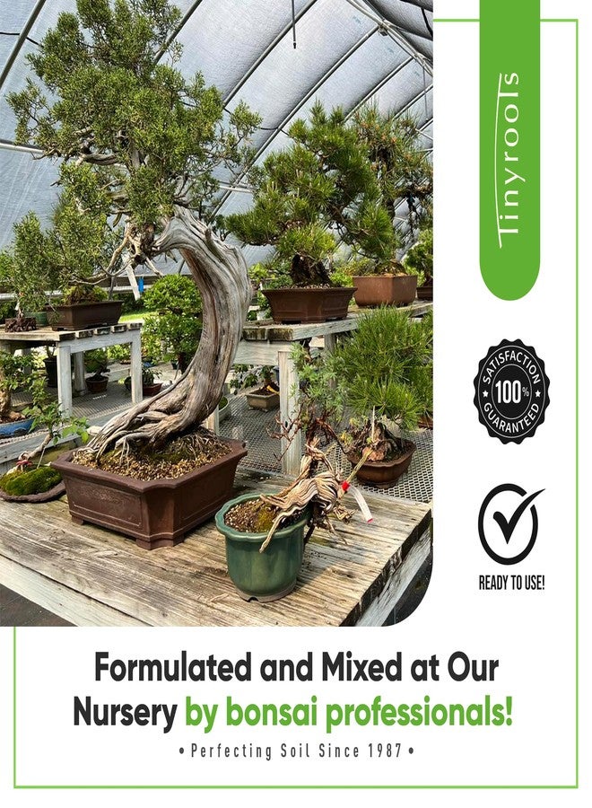 Bonsai Outlet مزيج تربة بونساي من تايني روتس - مزيج تربة بونساي متعدد الأغراض جاهز للاستخدام، يُستخدم لجميع أنواع أشجار البونساي، 2.25 كوارت - Image 4