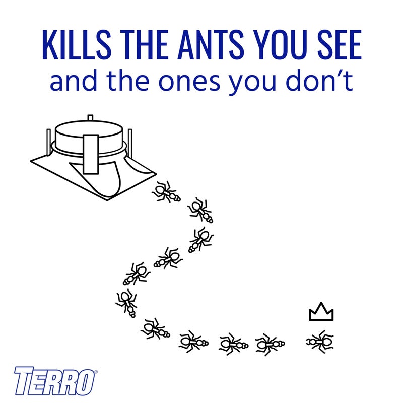 TERRO T1804SR Outdoor Ready-to-Use Liquid Ant Bait Killer and Trap - Kills Common Household Ants - 8 Bait Stations - Image 4