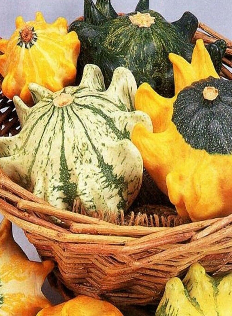 GGOOT Shenot Crown of Thorns Gourd - Cucurbita Pepo Vegetable Seeds, Ornamental Squash Home Garden Planting by Heavy Torch, 45 Seeds