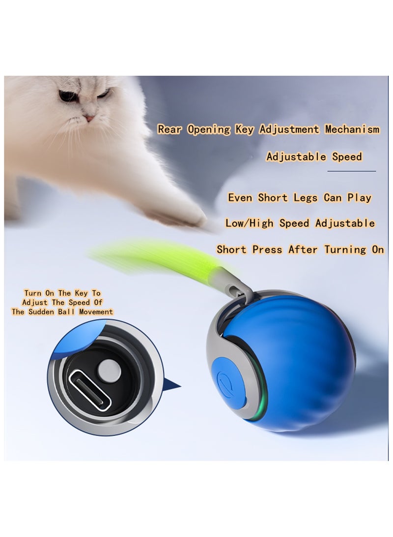 Beauenty Speedy Tail 2.0, Moving Cat Ball, New Generation Interactive Cat Toy, Electric Cat Ball Toy, Interactive Cat Toy With Two Speed Adjustment, Automatic Moving Ball 2PCS(Orange + Blue) - Image 4