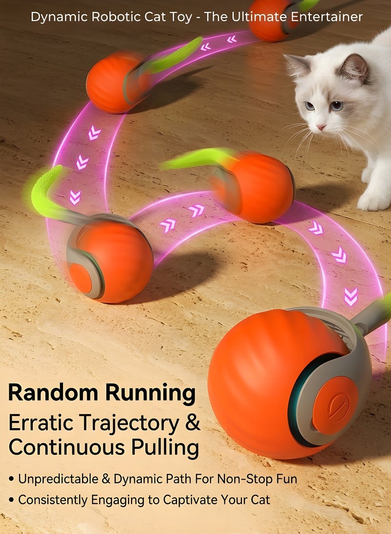 بيوينتي سبيدي تيل 2.0   كرة قطط متحركة   لعبة قطط تفاعلية من الجيل الجديد   لعبة كرة كهربائية للقطط   لعبة قطط تفاعلية مع سرعتين قابلتين للتعديل   كرة تتحرك تلقائيا ٢ قطعة برتقالي وأزرق - Image 2