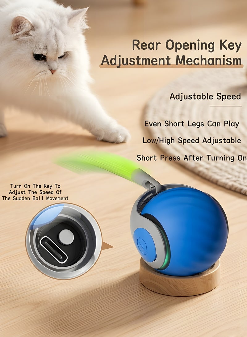 بيوينتي سبيدي تيل 2.0   كرة قطط متحركة   لعبة قطط تفاعلية من الجيل الجديد   لعبة كرة كهربائية للقطط   لعبة قطط تفاعلية مع سرعتين قابلتين للتعديل   كرة تتحرك تلقائيا ٢ قطعة برتقالي وأزرق - Image 3