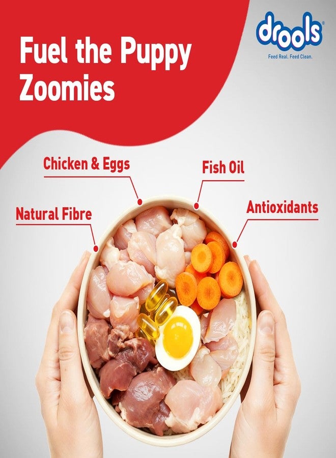 Drools Puppy Dry Dog Food 4.2kg (3kg + 1.2kg Free) | Chicken & Egg Flavour | Supports Active Behaviour | Digestive Health & Immunity | Better Digestibility - Image 2