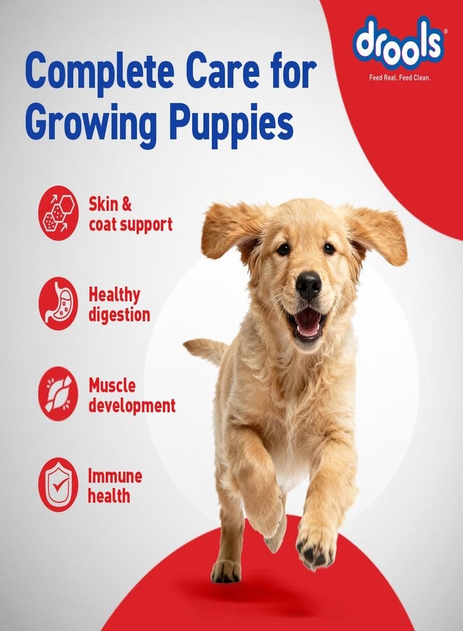 Drools Puppy Dry Dog Food 4.2kg (3kg + 1.2kg Free) | Chicken & Egg Flavour | Supports Active Behaviour | Digestive Health & Immunity | Better Digestibility - Image 4