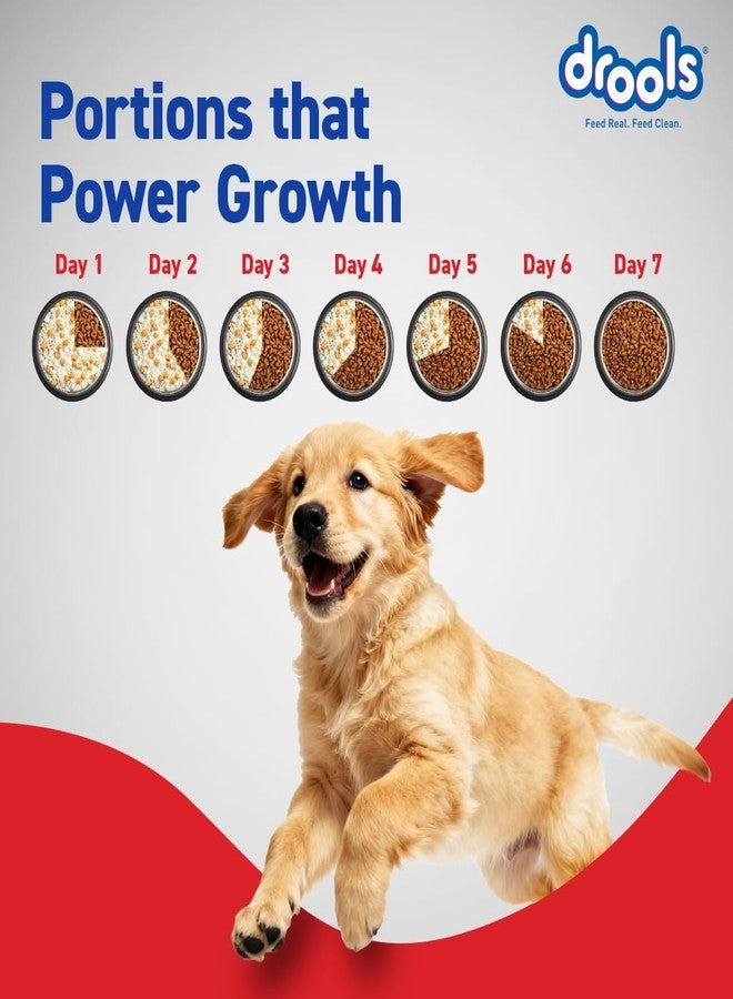 Drools Puppy Dry Dog Food 4.2kg (3kg + 1.2kg Free) | Chicken & Egg Flavour | Supports Active Behaviour | Digestive Health & Immunity | Better Digestibility - Image 5