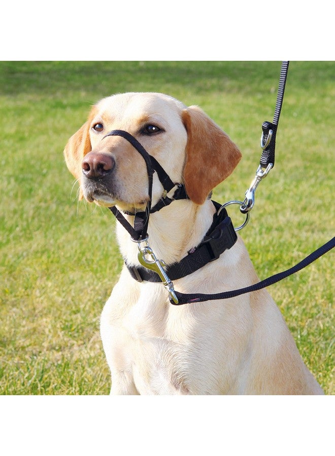 Trixie Bozal Entrenam - Dog Harnesstop Trainer L-Xl, 37 Cm, - Image 2