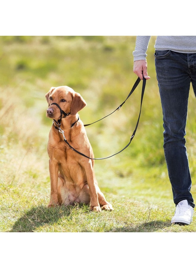 Trixie Bozal Entrenam - Dog Harnesstop Trainer L-Xl, 37 Cm, - Image 3