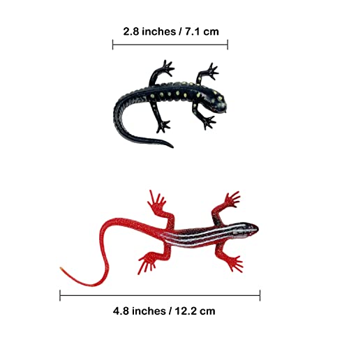 NAKIMO Plastic Lizard Toys Artificial Model Reptile Realistic Rubber Lizard Animal Figures for Halloween Party Decoration Practical Joke and Educational Toys 12Pcs - Image 5