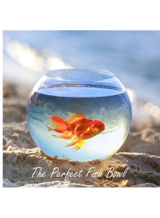 6 Inch Round Glass Bowl Aquarium Fish Tank Flower Vase Centerpiece Bubble Planter Terrarium Fish Bowl for Wedding Event Clear - pzsku/Z5593EFD143A72CD49F3EZ/45/_/1682342858/3f15905b-c8e0-467f-8ec7-f24ba7f9f2eb
