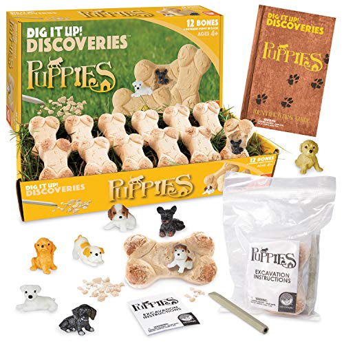 MindWare Dig it Up Puppies Excavation Kit Educational Toys for Kids 4 and Up Dig Kit with 12 Bones 12 Puppy Figurines 12 Chisels Ideal for Group Activities Events or Classroom Brain Breaks - Image 1