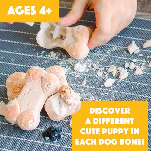 MindWare Dig it Up Puppies Excavation Kit Educational Toys for Kids 4 and Up Dig Kit with 12 Bones 12 Puppy Figurines 12 Chisels Ideal for Group Activities Events or Classroom Brain Breaks - Image 5