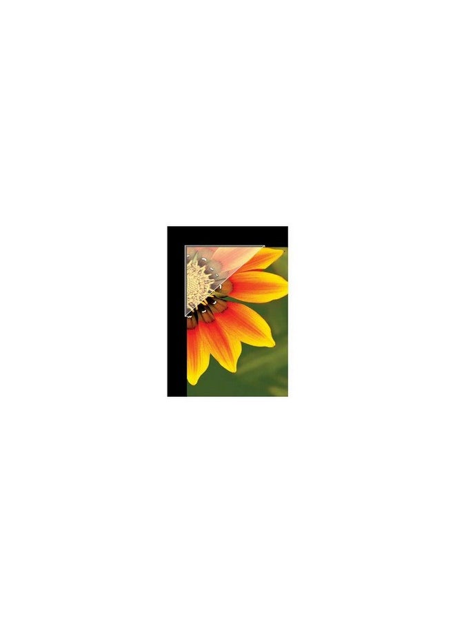 Lineco Archival Polyester Mounting Corners Pressure Sensitive Acidfree Acrylic Selfadhesive Backing 0.5 Inch Mounting Artwork Photographs Certificates Diy Displaying Pictures (Pack Of 240) Clear  - Image 2