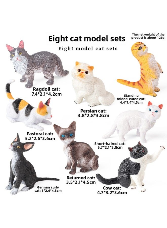 Simulation Animal Cat Dog Model Bully Teddy Shepherd Mountain Dog Persian Muppet Short-hair Cat Toy Suit-Color:Zz Deep Sea Fish 6 Styles Set + Jct [py] Mini Dolphin 6 Styles