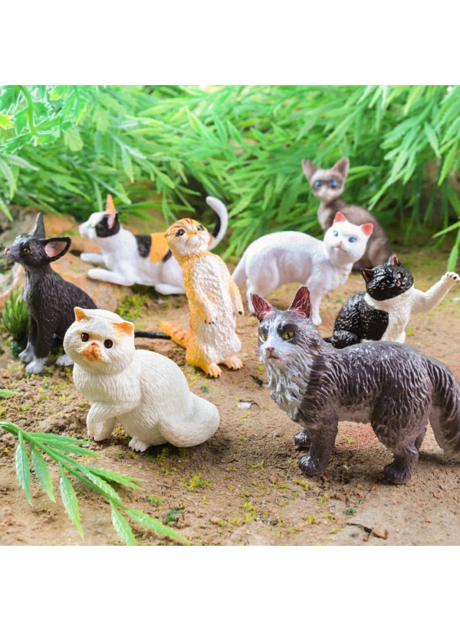 Simulation Animal Cat Dog Model Bully Teddy Shepherd Mountain Dog Persian Muppet Short-hair Cat Toy Suit-Color:Zz Deep Sea Fish 6 Styles Set + Jct [py] Mini Dolphin 6 Styles