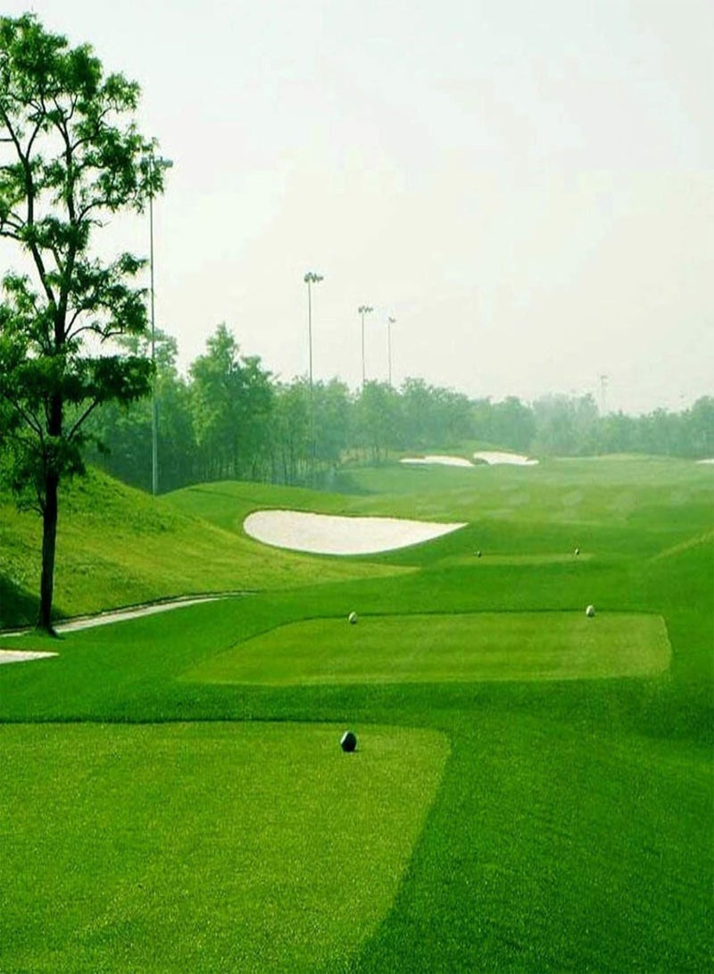 GGOOT Green Garden Flower Plants-100Pcs Festuca Arundinacea Seeds Soccer Field Golf Course Lawn Grass Decor - Festuca Arundinacea Seeds - Image 4