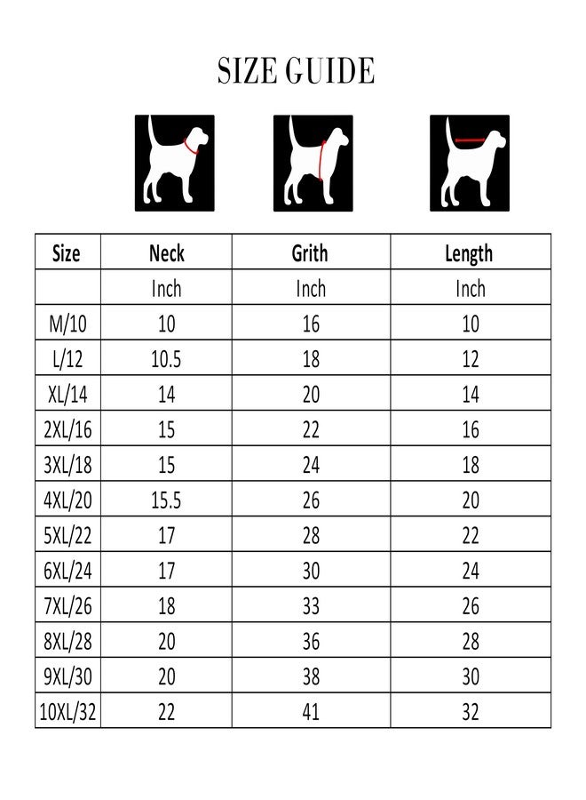 أوربان بتس تيشيرت قطني مطبوع عليه عبارة "خذ الأمور ببساطة" من Urban Pets Petwear للكلاب: Furever Sandoz/Summer Sandoz/Summer Wear (نيون، المقاس: 10XL، أخضر) - Image 4