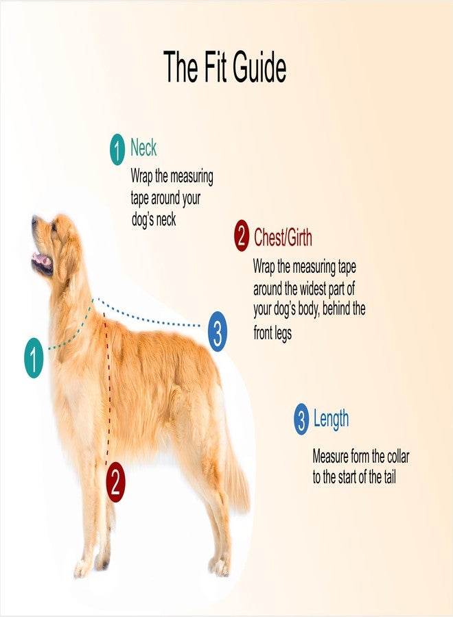 أوربان بتس تيشيرت قطني مطبوع عليه عبارة "خذ الأمور ببساطة" من Urban Pets Petwear للكلاب: Furever Sandoz/Summer Sandoz/Summer Wear (نيون، المقاس: 10XL، أخضر) - Image 3