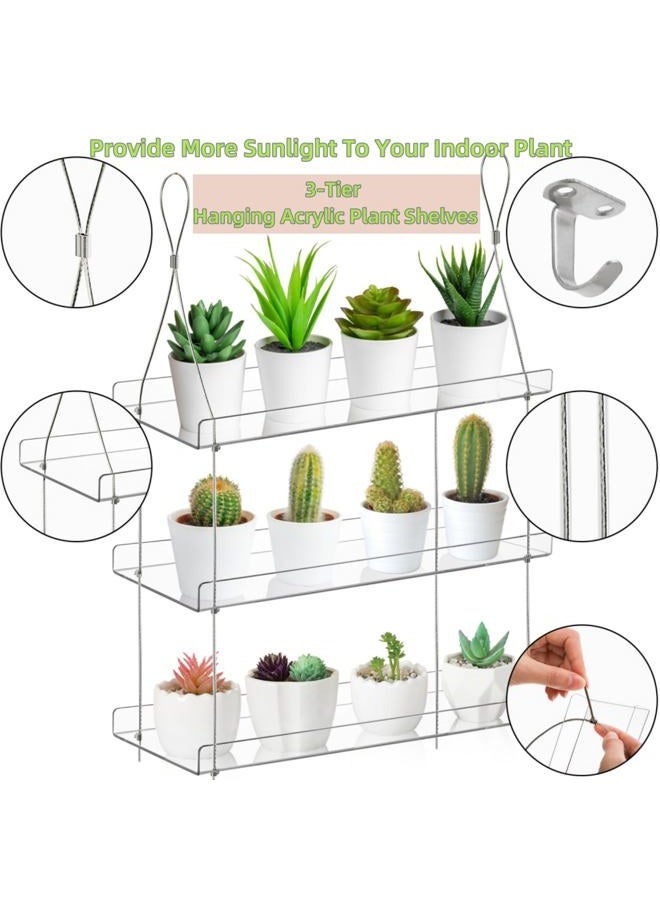 Tlence 3-Tier Hanging Clear Plant Shelves, Acrylic Window Boxes Flower Display Shelf, Height Adjustable Indoor Wall Plant Stand, Succulents Pot Organizer Storage for Herbs Microgreens Seedling Growth - Image 5