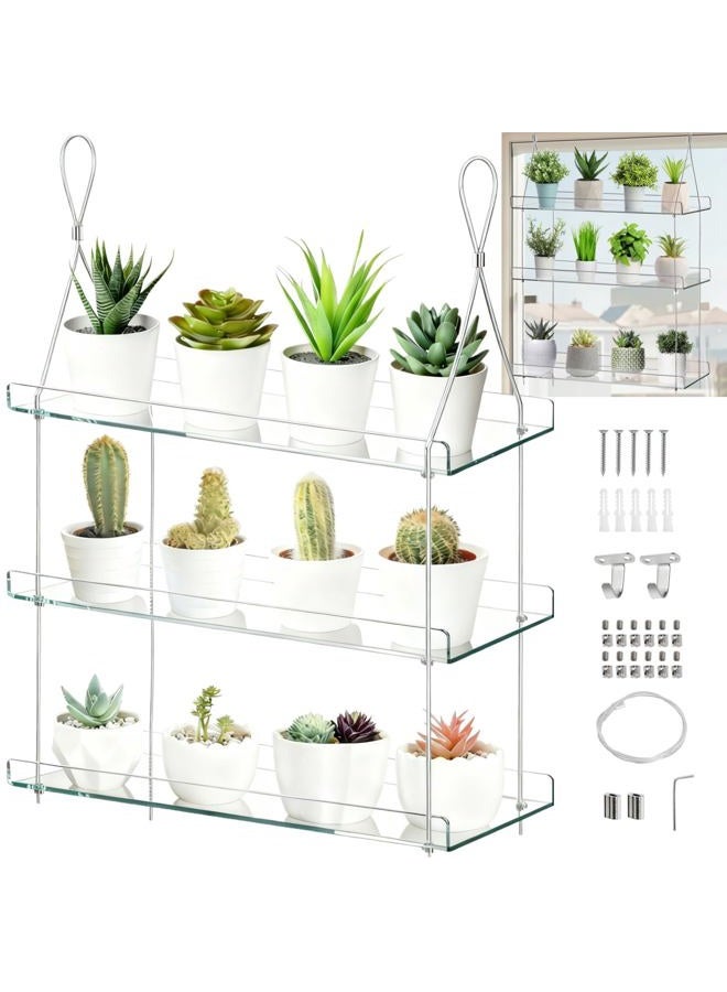 Tlence 3-Tier Hanging Clear Plant Shelves, Acrylic Window Boxes Flower Display Shelf, Height Adjustable Indoor Wall Plant Stand, Succulents Pot Organizer Storage for Herbs Microgreens Seedling Growth - Image 1