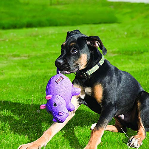 KONG - Phatz™ Hippo - Medium - Image 2