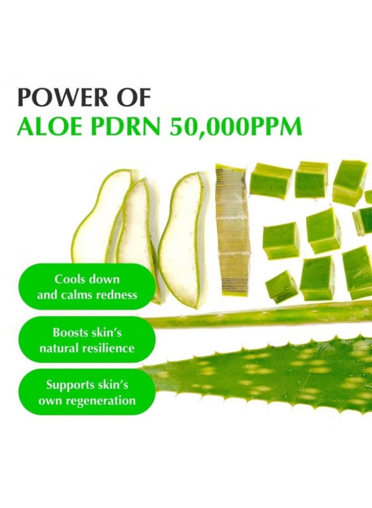 Eqqualberry Aloe PDRN Calming Serum – Soothing Hydration, Redness Relief & Barrier Support for Sensitive Skin - Image 5