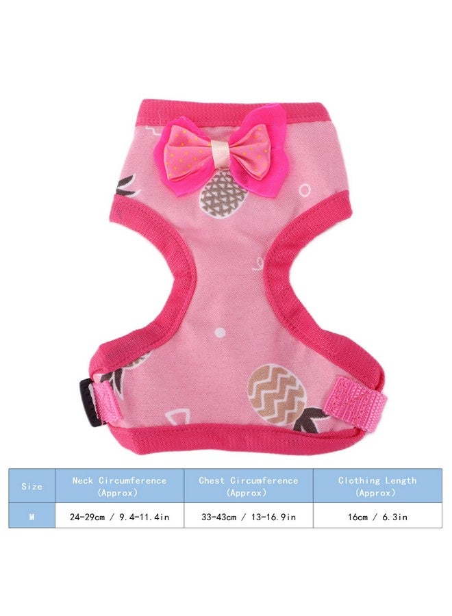 جلوجلو حبل جر للدجاج من GLOGLOW، حزام دجاج قابل للتعديل مع حزام مرن قابل للتهوية للحيوانات الأليفة لتدريب البط والإوز والدجاج وحزام المشي وحبل الجر - Image 4