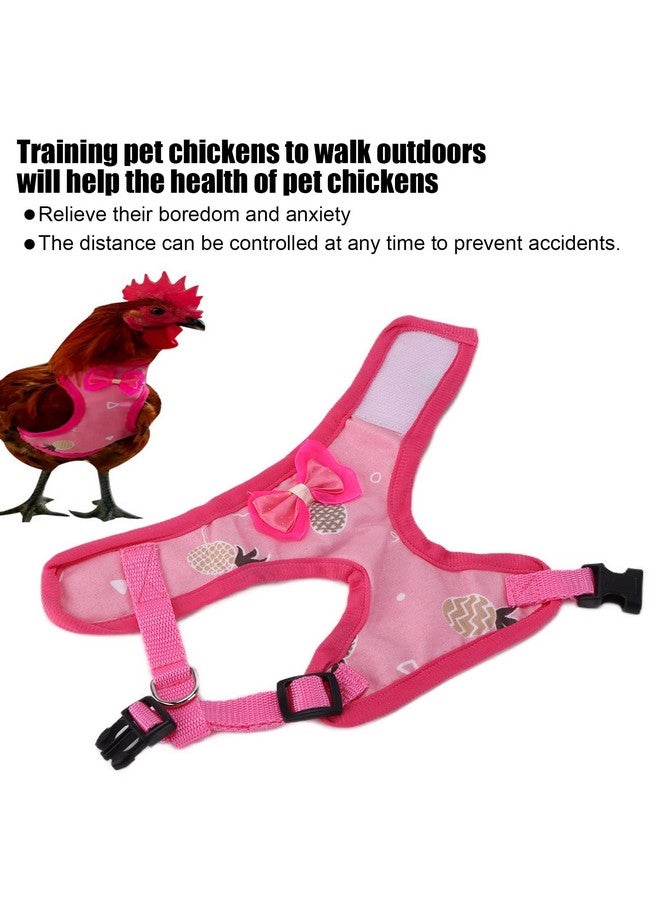 جلوجلو حبل جر للدجاج من GLOGLOW، حزام دجاج قابل للتعديل مع حزام مرن قابل للتهوية للحيوانات الأليفة لتدريب البط والإوز والدجاج وحزام المشي وحبل الجر - Image 2