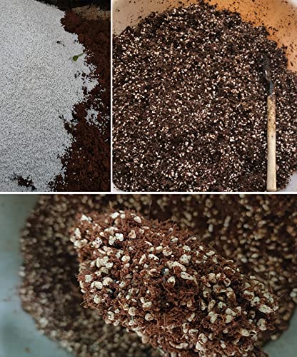 MDPQT 2 QT Professional Grade Horticultural Organic Perlite (2 QT, Perlite) - Image 5