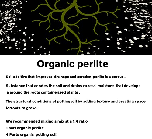 MDPQT 2 QT Professional Grade Horticultural Organic Perlite (2 QT, Perlite) - Image 2