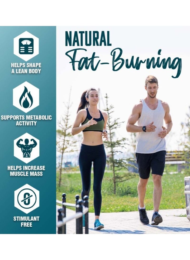 نورتكس ريسيرش نوتريكس ليبو 6 CLA، 90 كبسولة هلامية - Image 3