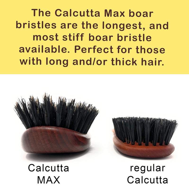 Desert Breeze Distributing Calcutta Max â€“ 100% Pure Calcutta Extra Stiff Wild Boar Bristle Hair Brush â€“ Best Natural Hair Brush â€“ Thick Hairbrush for Styling & Smoothing â€“ Dark Maple Wood Handle â€“ Made in Europe - Image 5