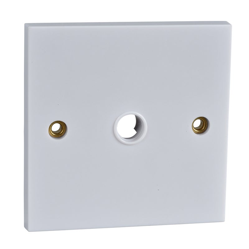 Schneider Electric Schneider Electric Exclusive Flex Outlet, Front Entry, 20A, 1 Gang, White – GFOPLATE
