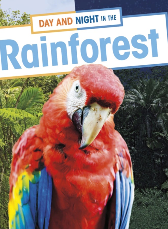 Day and Night in the Rainforest 