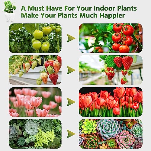 zyzykeji LED Grow Light, 3 Heads Red Blue White Full Spectrum Plant Light with Clamp for Indoor Plants & Seed Starting, 10-Level Dimmable, Auto On Off, Timing 4 9 12Hrs - Image 5