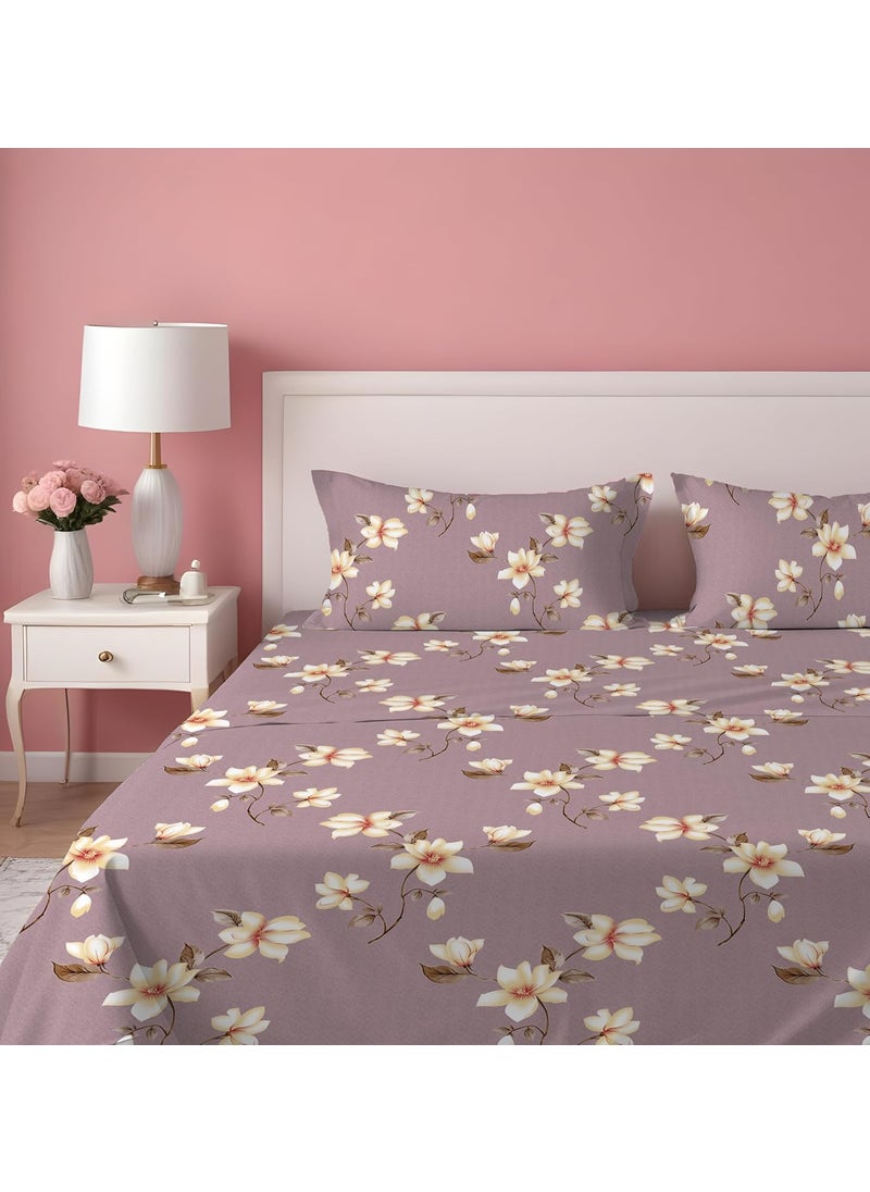 DREAMLET DREAMLET Premium Cotton Flat Double Bedsheets with 2 King Size Pillow Covers Double Bed Breathable Wrinklefree Ultrasoft Supersoft 220TC Flat Purple Yellow  - Image 2