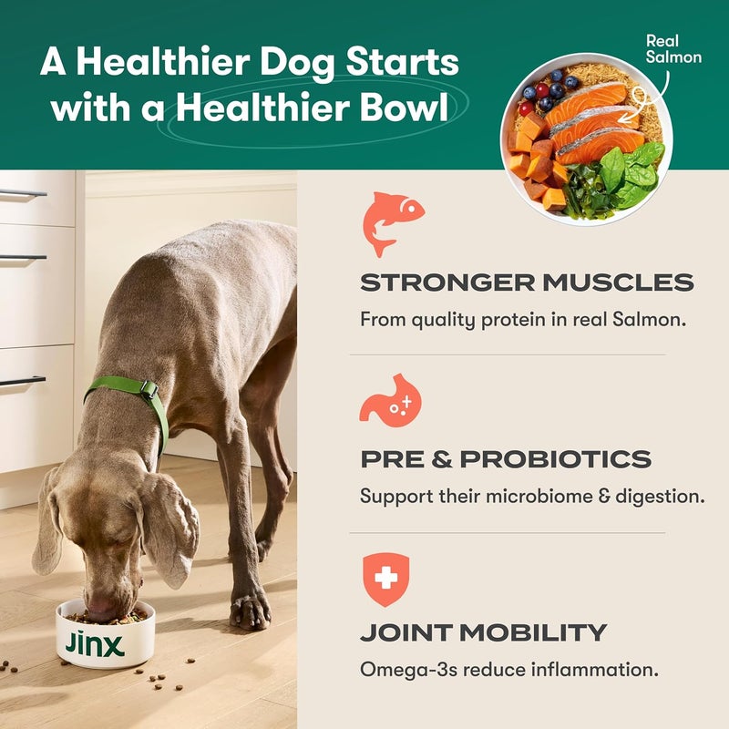 JINX Premium Dry Dog Food, for All Life-Stages - Real Salmon, Brown Rice & Sweet Potato Kibble with Superfoods for Immune Support & Probiotics for Digestive Support - No Fillers – 4lb - Image 3