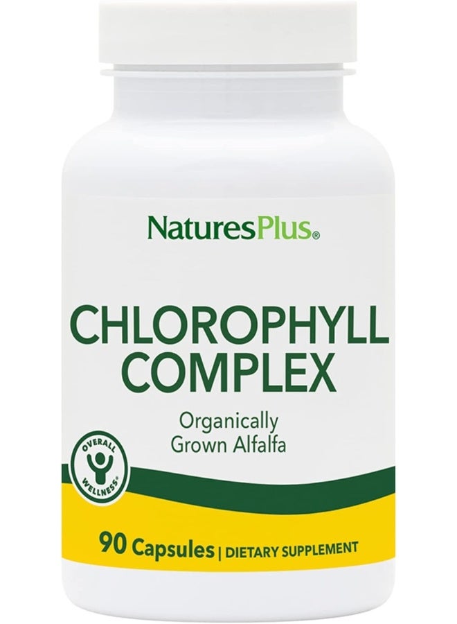 Nature's Plus Natures Plus Chlorophyll Caps - 600mg, 90 Vegetarian Capsules - Image 1