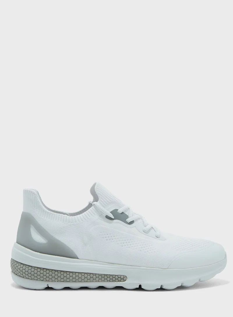 GEOX Casual Low Top Sneakers