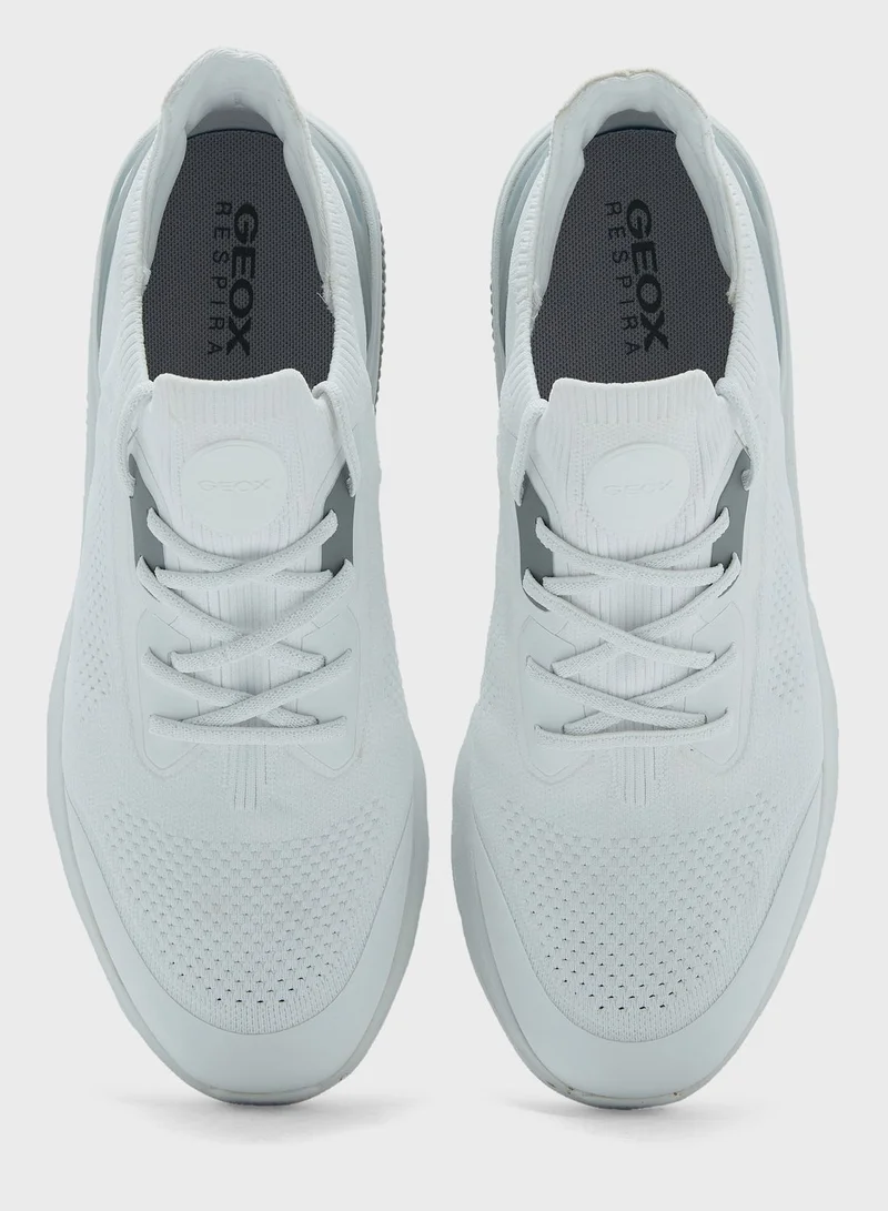 GEOX Casual Low Top Sneakers