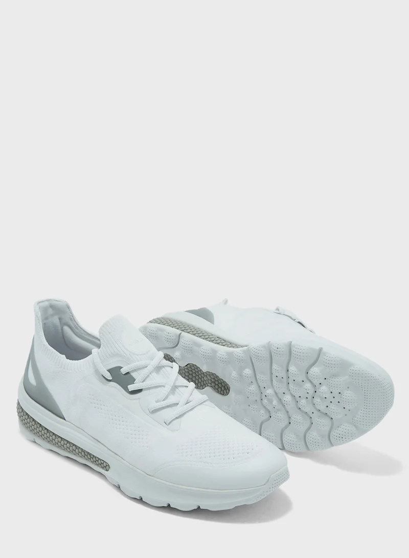 GEOX Casual Low Top Sneakers