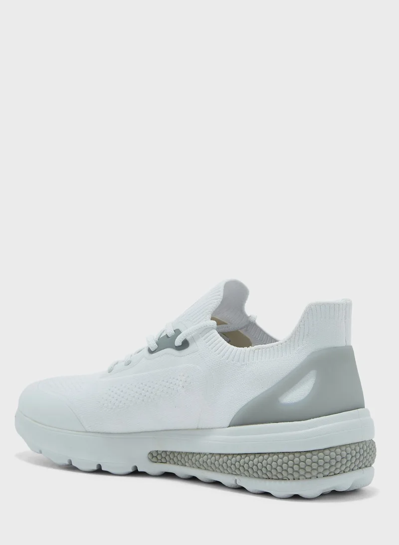 GEOX Casual Low Top Sneakers