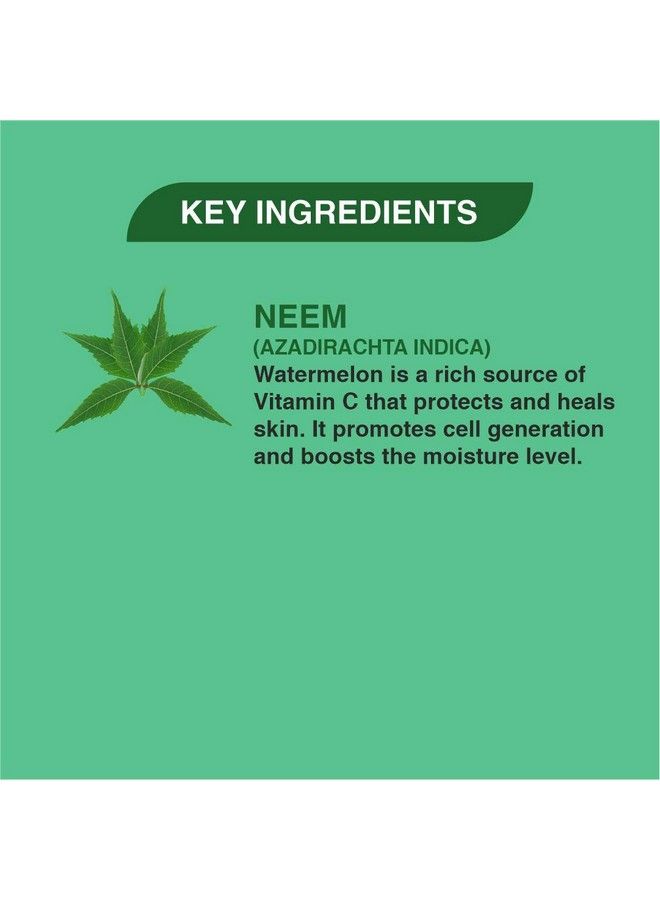 khadi veda - Neem Patti Detoxifying Skin Care Bath Soap 100 Gm Each (Pack Of 3) - Image 1